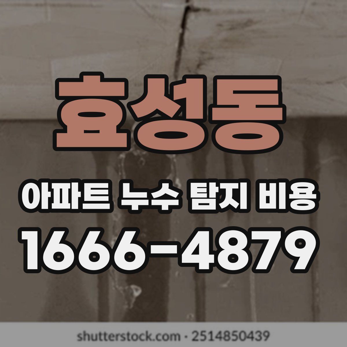 효성동 아파트 누수 탐지 비용