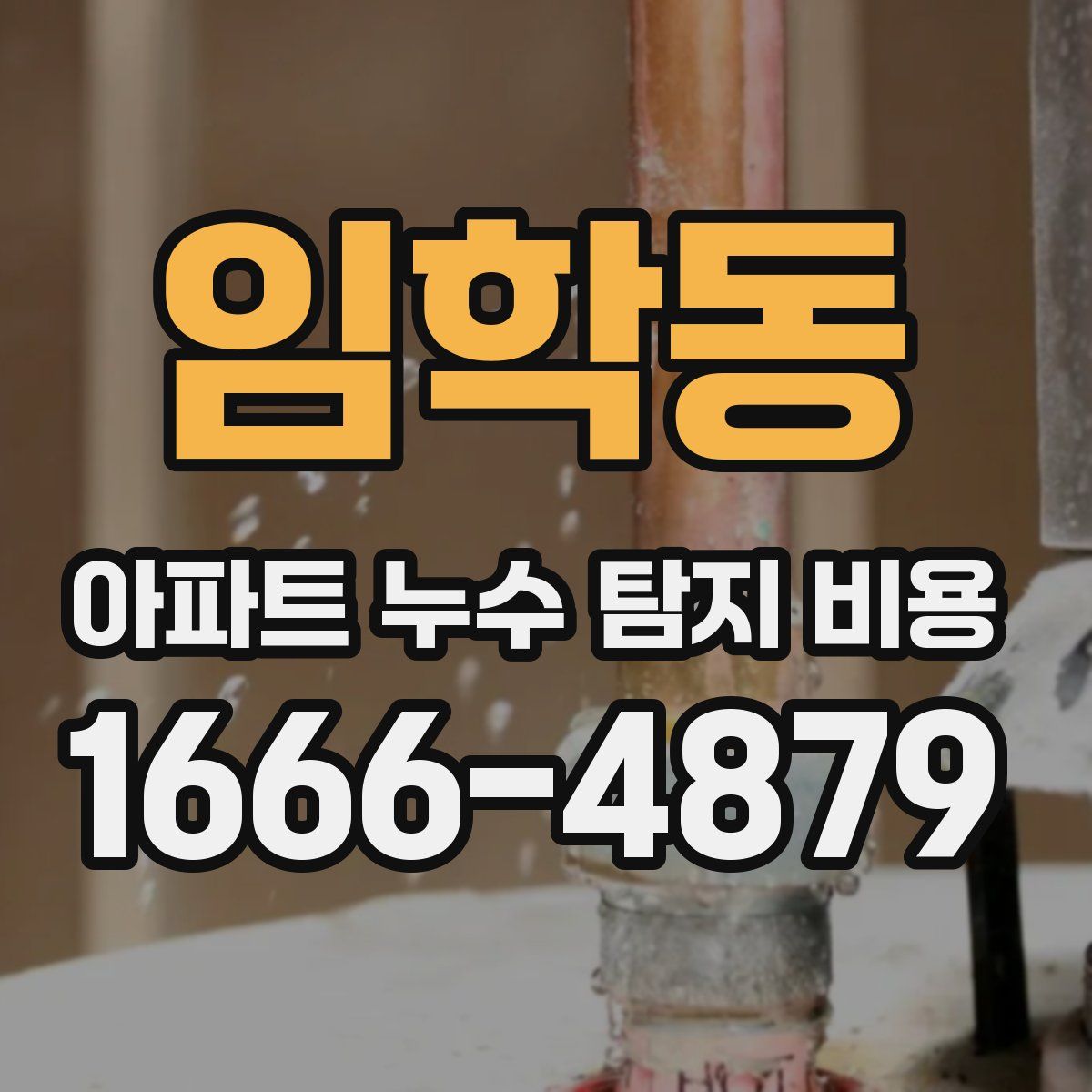 임학동 아파트 누수 탐지 비용