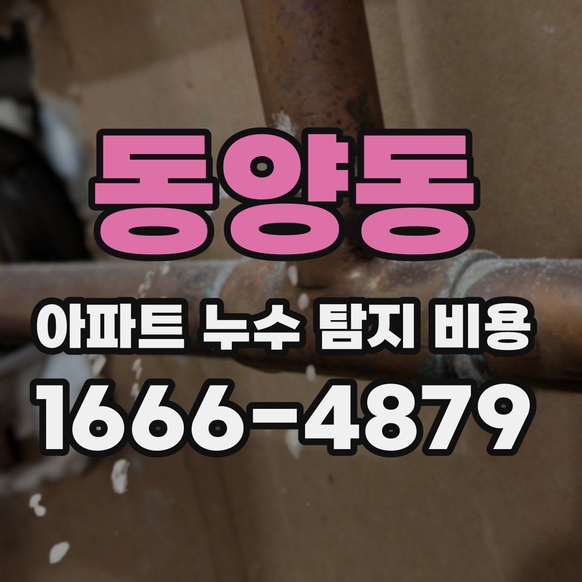 동양동 아파트 누수 탐지 비용