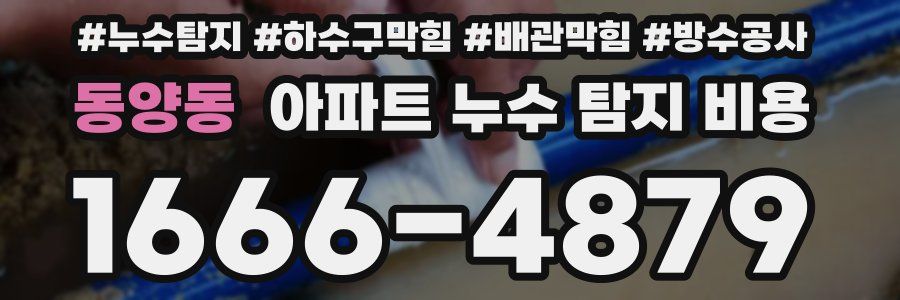 동양동 아파트 누수 탐지 비용