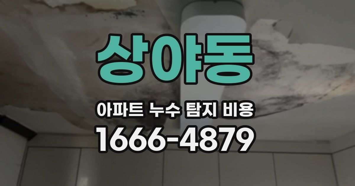 상야동 아파트 누수 탐지 비용