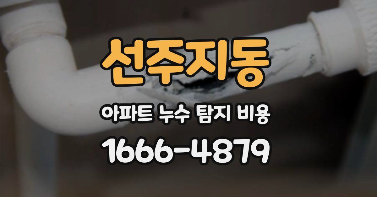 선주지동 아파트 누수 탐지 비용