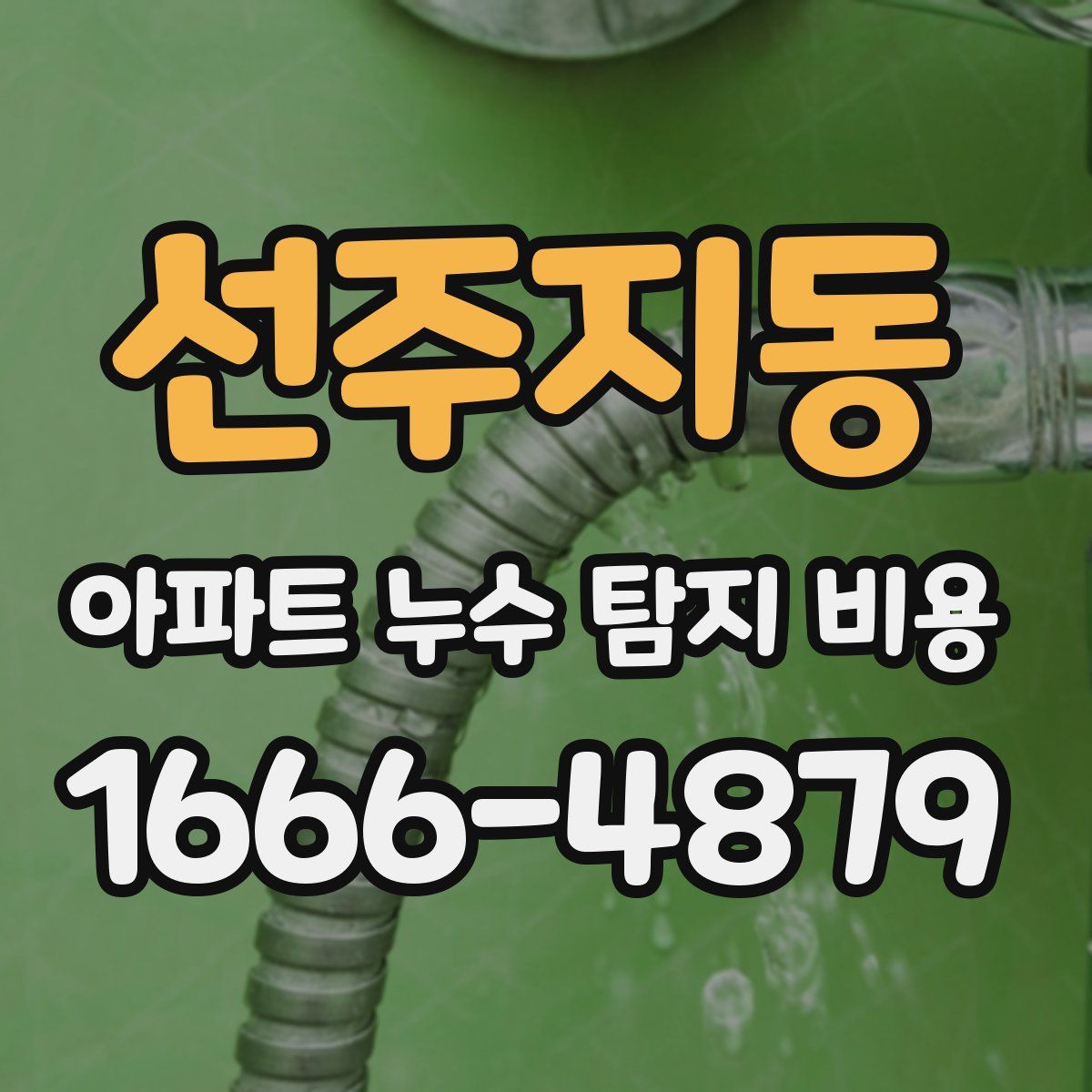 선주지동 아파트 누수 탐지 비용