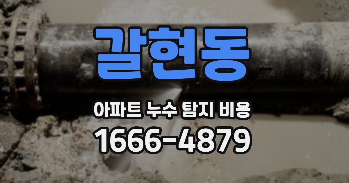 갈현동 아파트 누수 탐지 비용