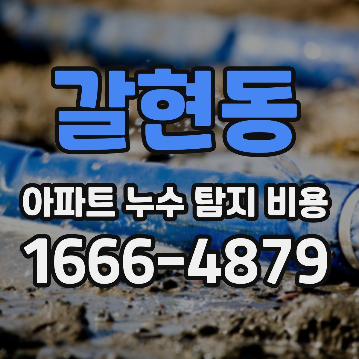갈현동 아파트 누수 탐지 비용