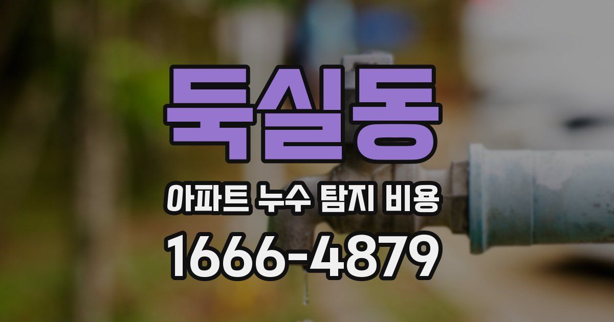 둑실동 아파트 누수 탐지 비용