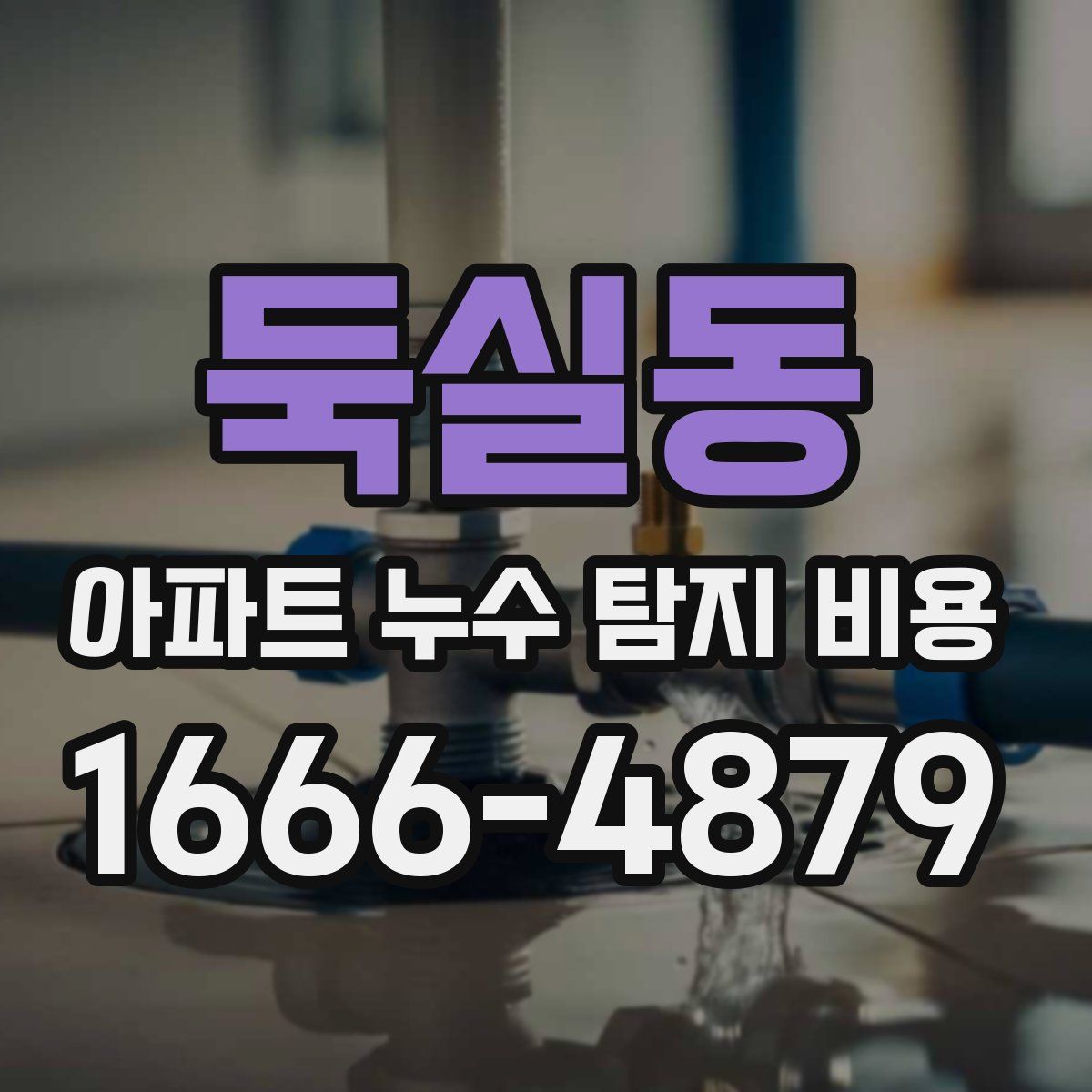 둑실동 아파트 누수 탐지 비용