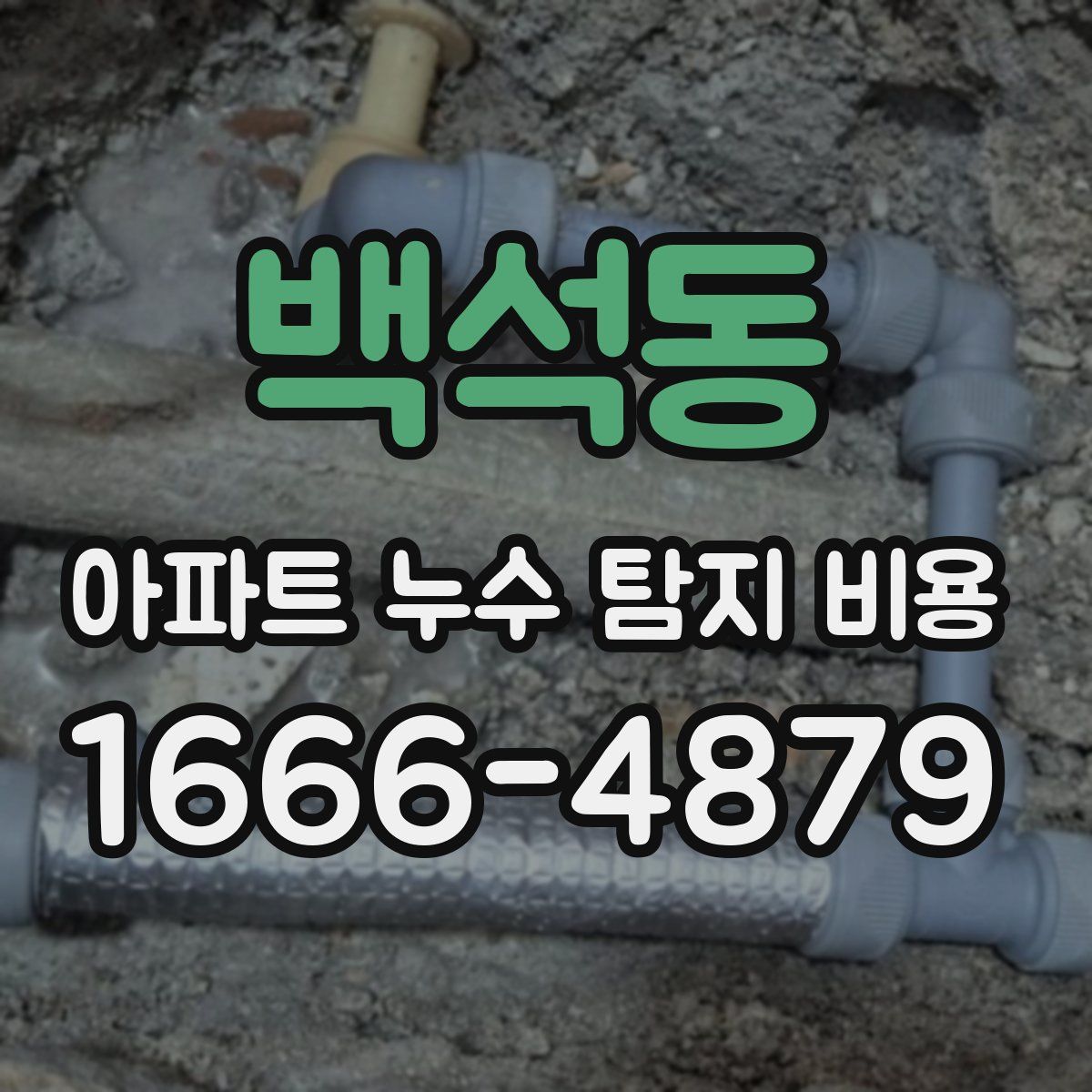 백석동 아파트 누수 탐지 비용