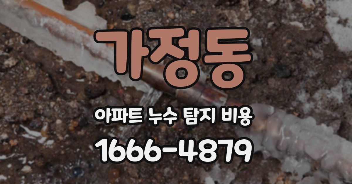 가정동 아파트 누수 탐지 비용
