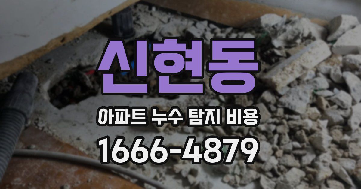 신현동 아파트 누수 탐지 비용