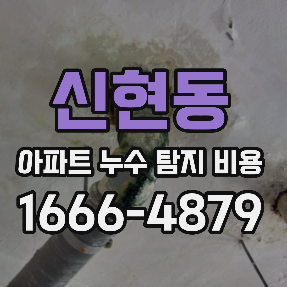 신현동 아파트 누수 탐지 비용