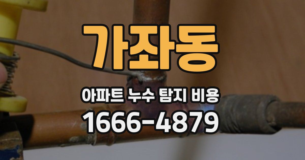 가좌동 아파트 누수 탐지 비용