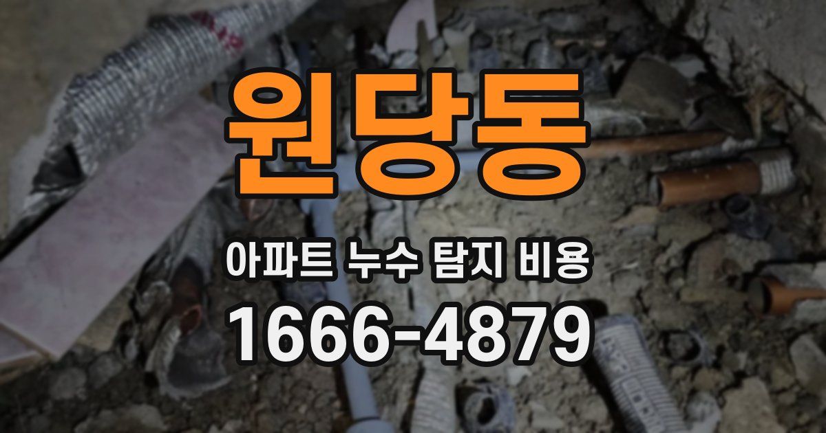 원당동 아파트 누수 탐지 비용