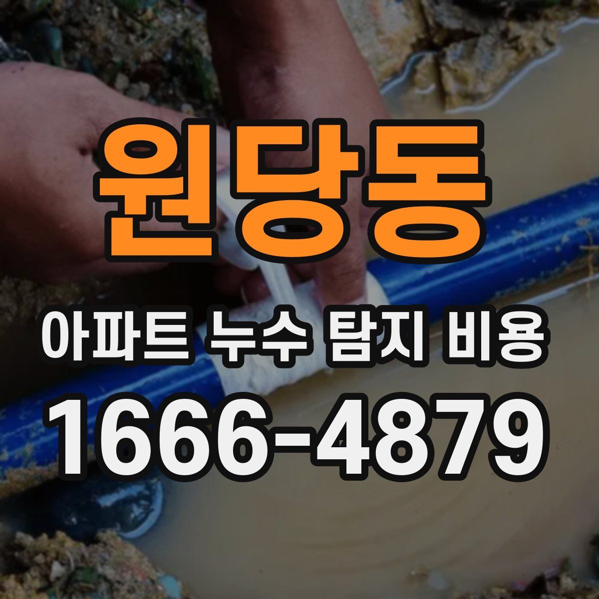 원당동 아파트 누수 탐지 비용
