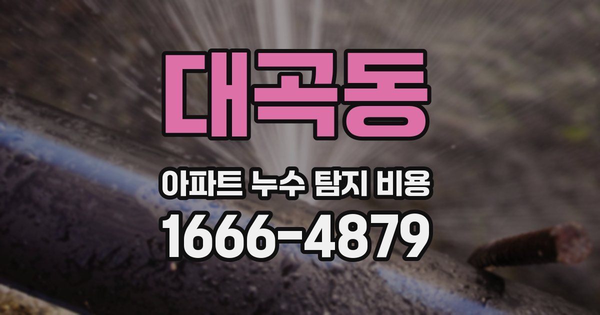 대곡동 아파트 누수 탐지 비용