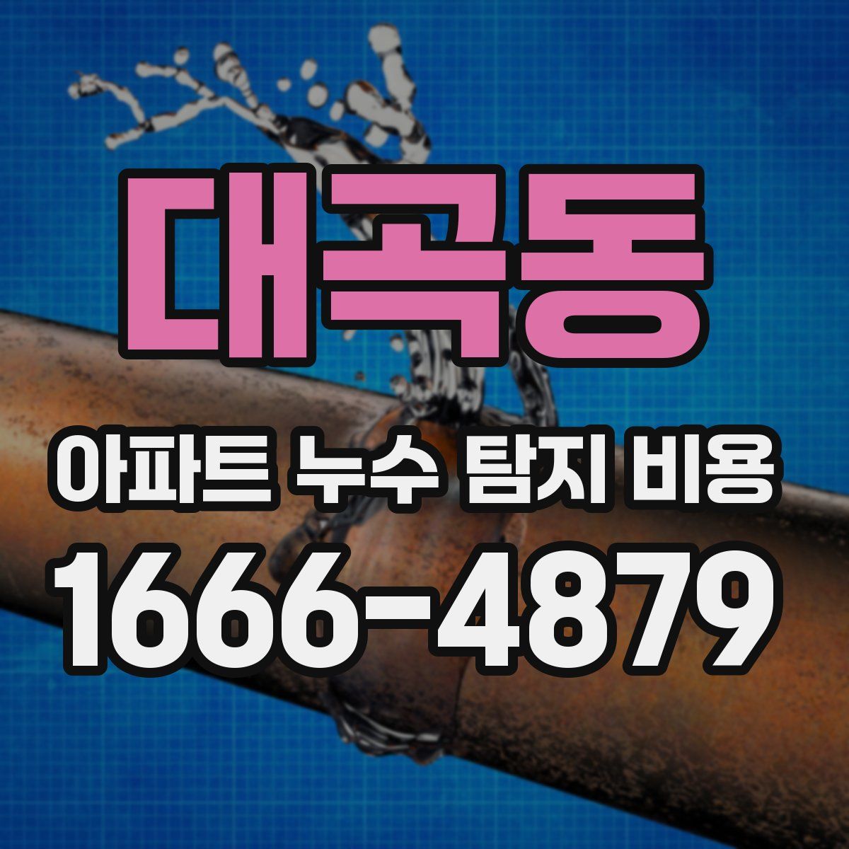 대곡동 아파트 누수 탐지 비용