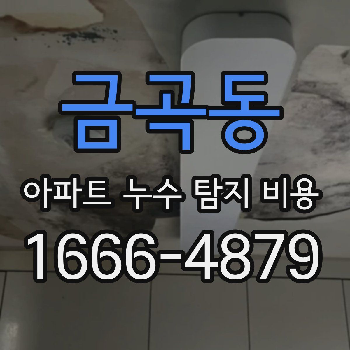 금곡동 아파트 누수 탐지 비용