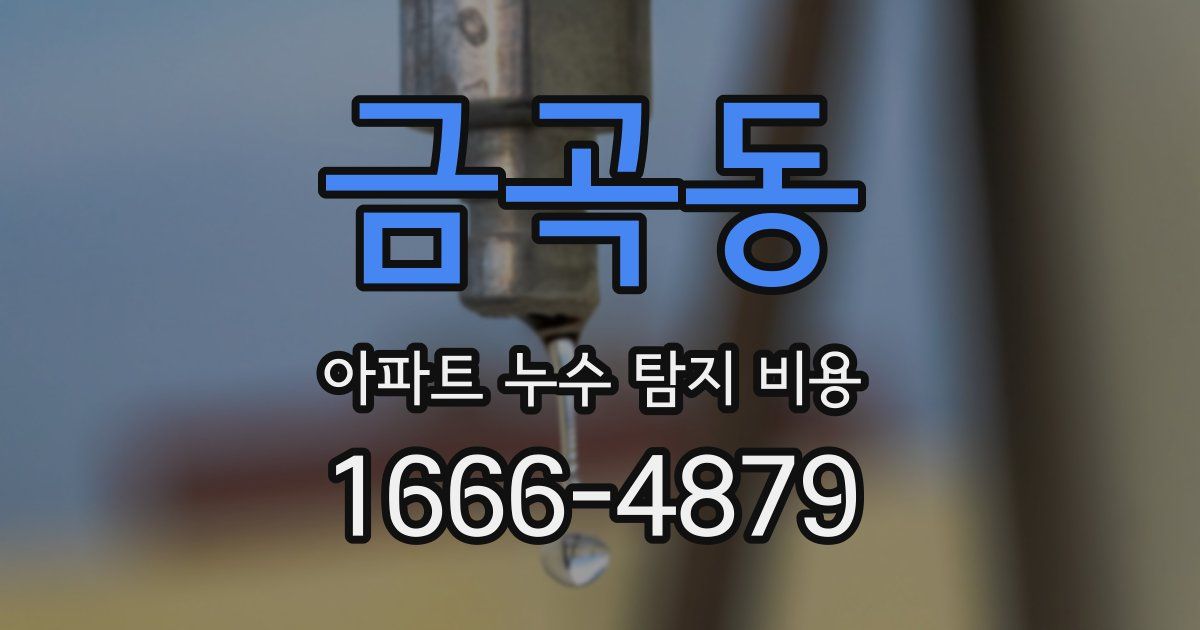 금곡동 아파트 누수 탐지 비용