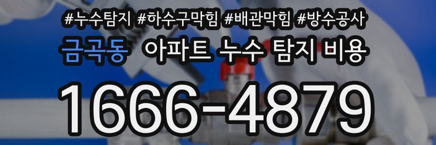 금곡동 아파트 누수 탐지 비용