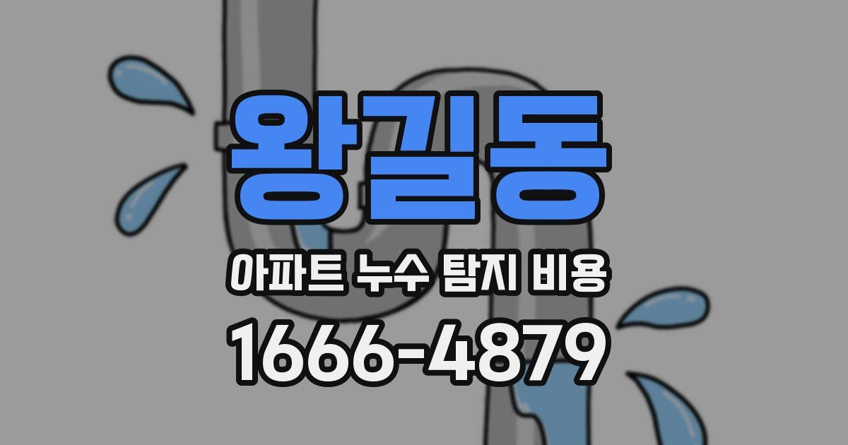 왕길동 아파트 누수 탐지 비용