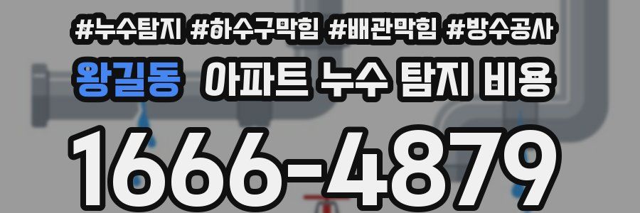 왕길동 아파트 누수 탐지 비용