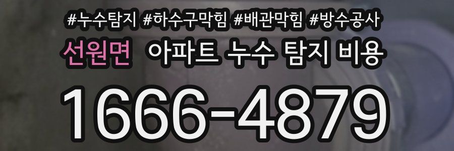 선원면 아파트 누수 탐지 비용