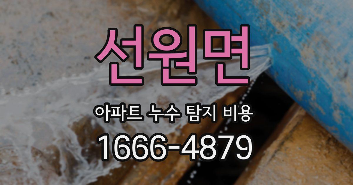 선원면 아파트 누수 탐지 비용