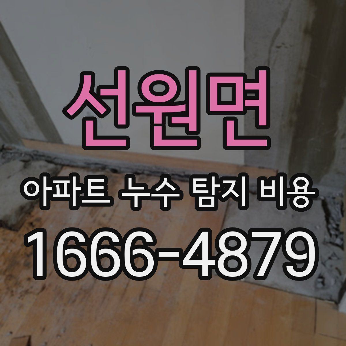 선원면 아파트 누수 탐지 비용