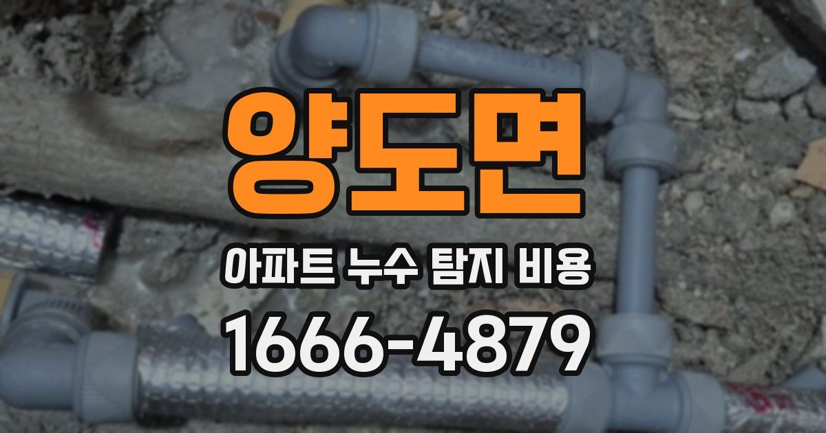 양도면 아파트 누수 탐지 비용