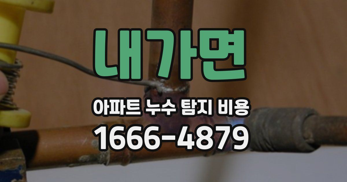 내가면 아파트 누수 탐지 비용