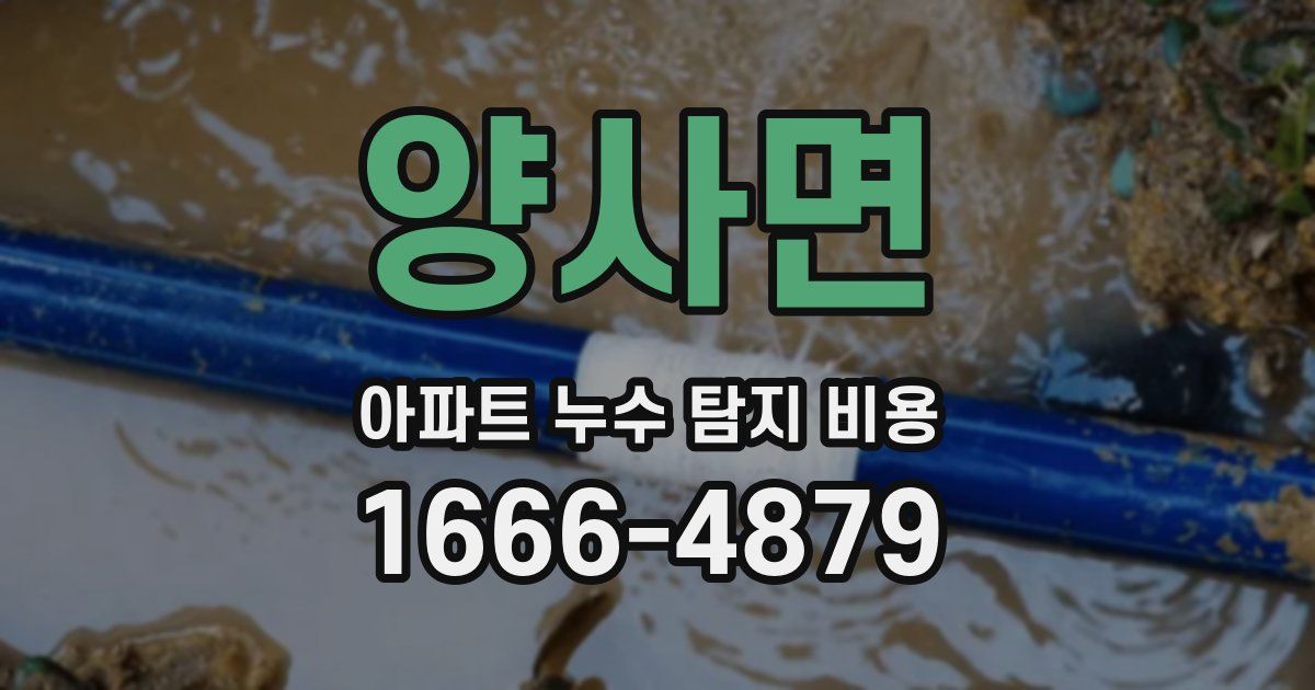 양사면 아파트 누수 탐지 비용