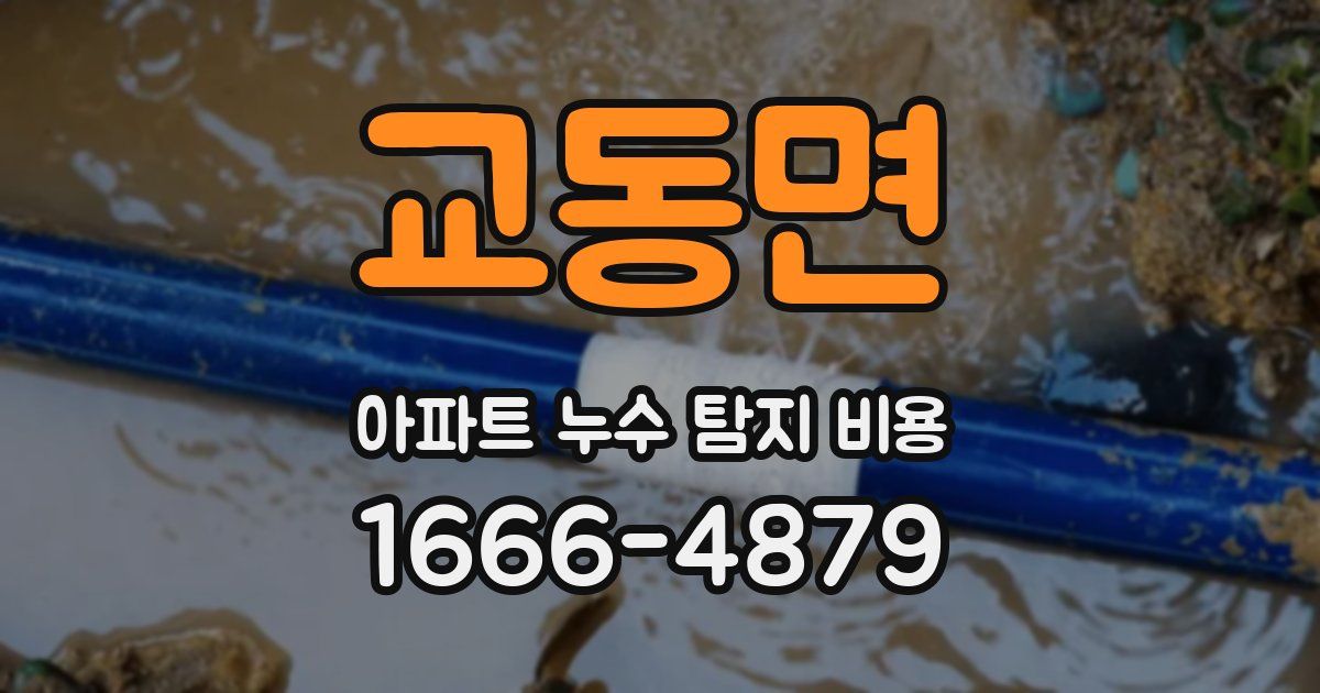교동면 아파트 누수 탐지 비용