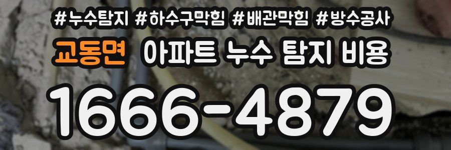 교동면 아파트 누수 탐지 비용