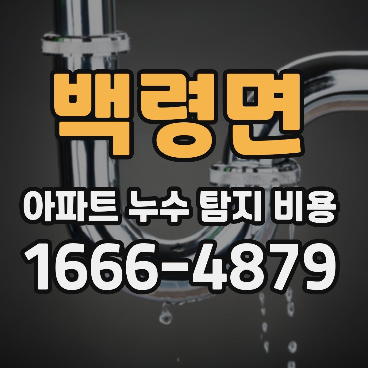 백령면 아파트 누수 탐지 비용