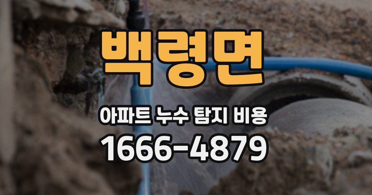 백령면 아파트 누수 탐지 비용