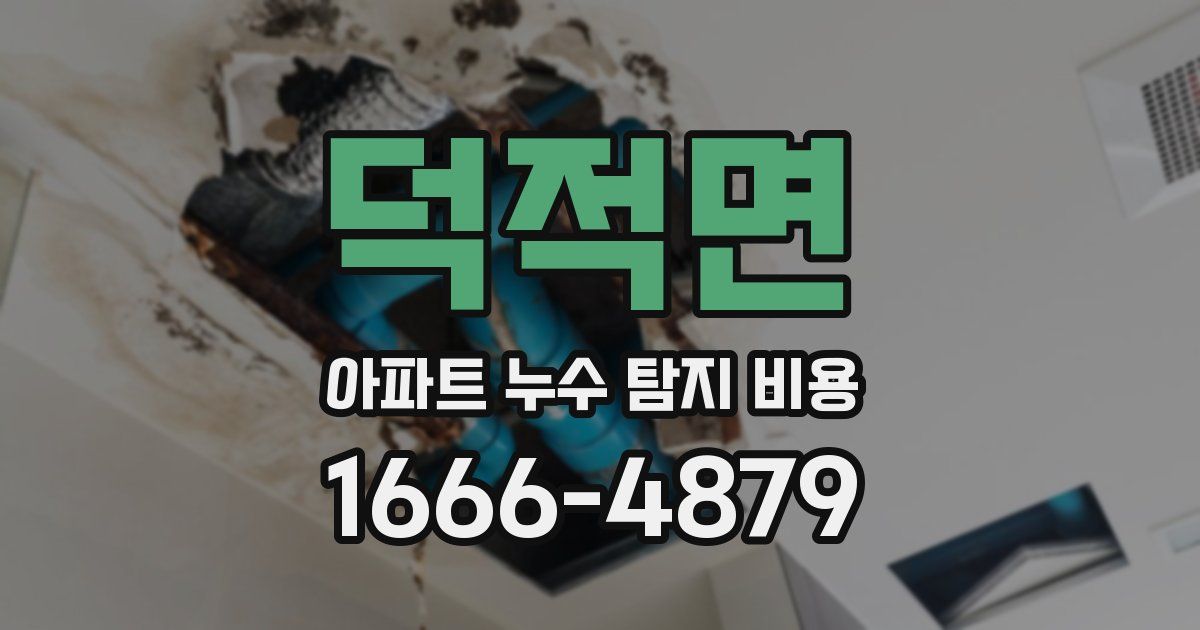 덕적면 아파트 누수 탐지 비용