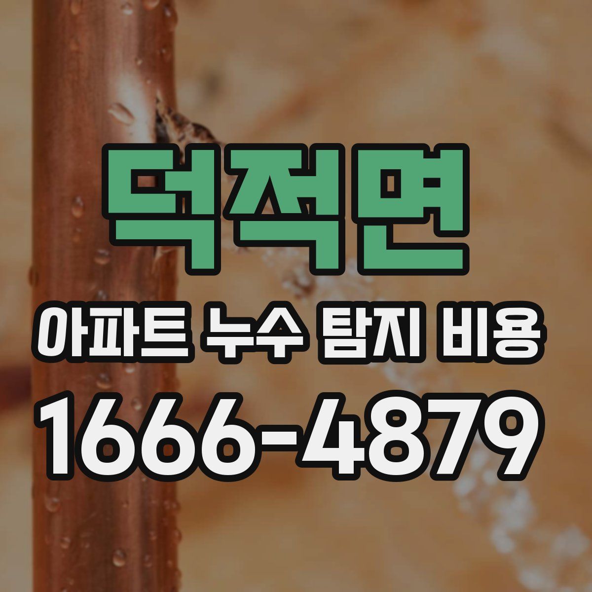 덕적면 아파트 누수 탐지 비용