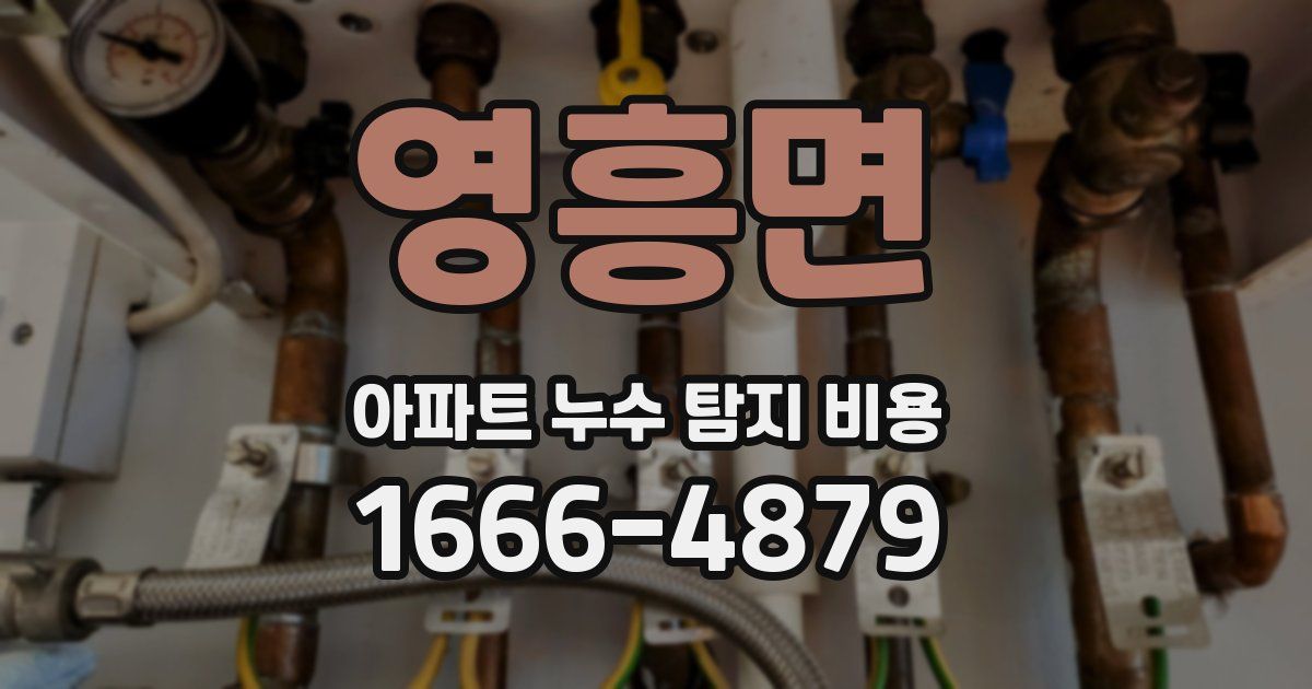 영흥면 아파트 누수 탐지 비용