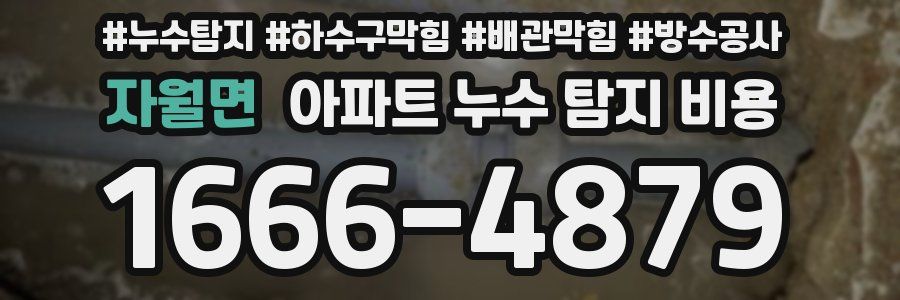 자월면 아파트 누수 탐지 비용