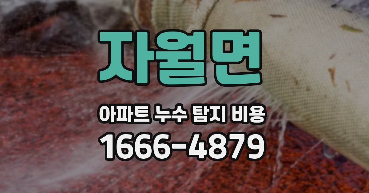 자월면 아파트 누수 탐지 비용