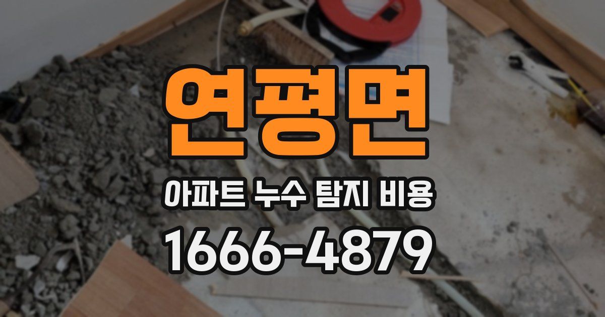 연평면 아파트 누수 탐지 비용