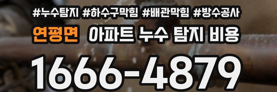 연평면 아파트 누수 탐지 비용