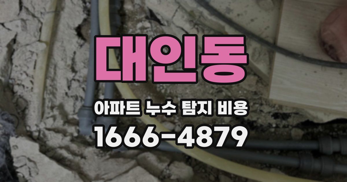 대인동 아파트 누수 탐지 비용