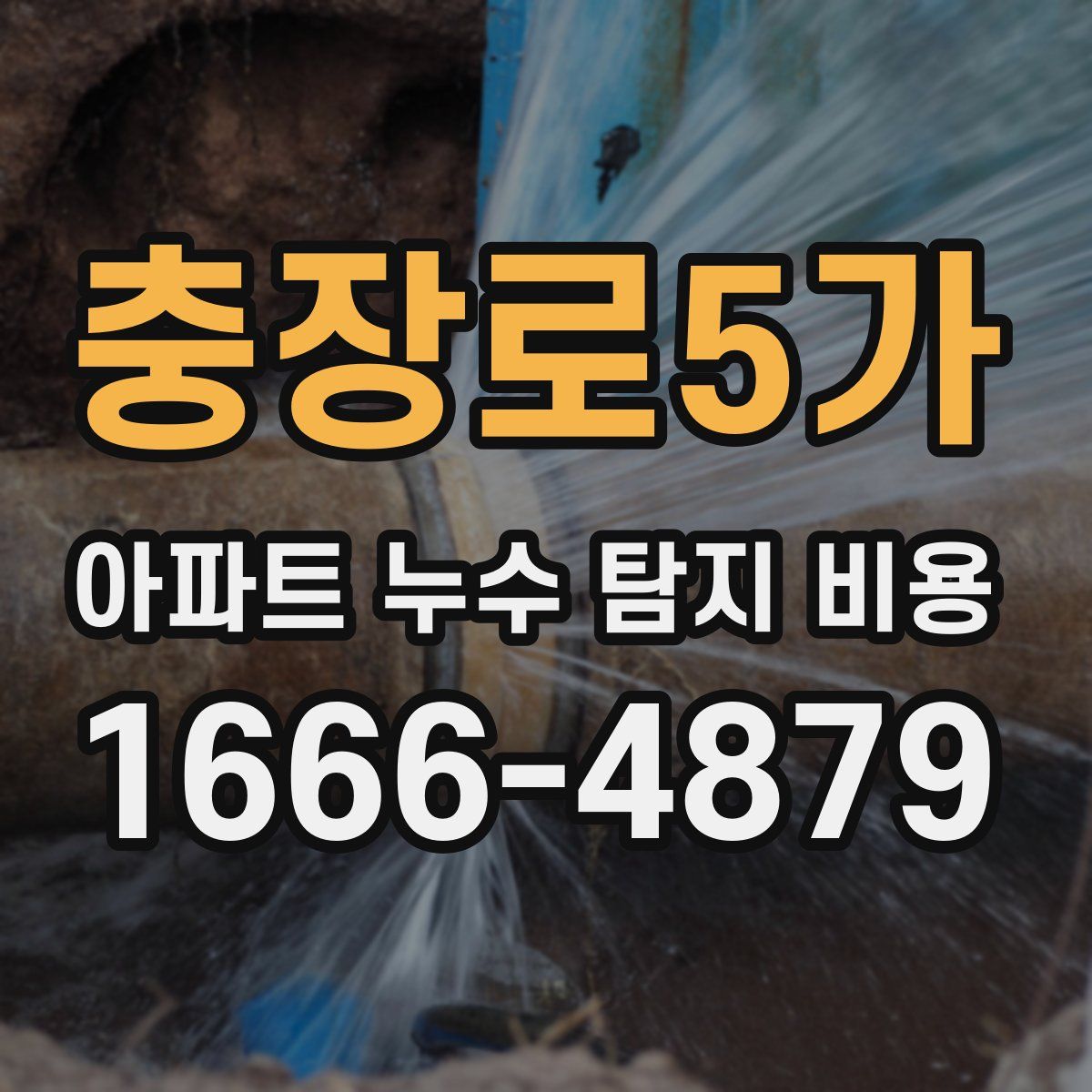 충장로5가 아파트 누수 탐지 비용