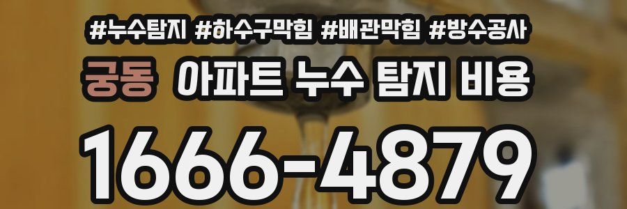 궁동 아파트 누수 탐지 비용
