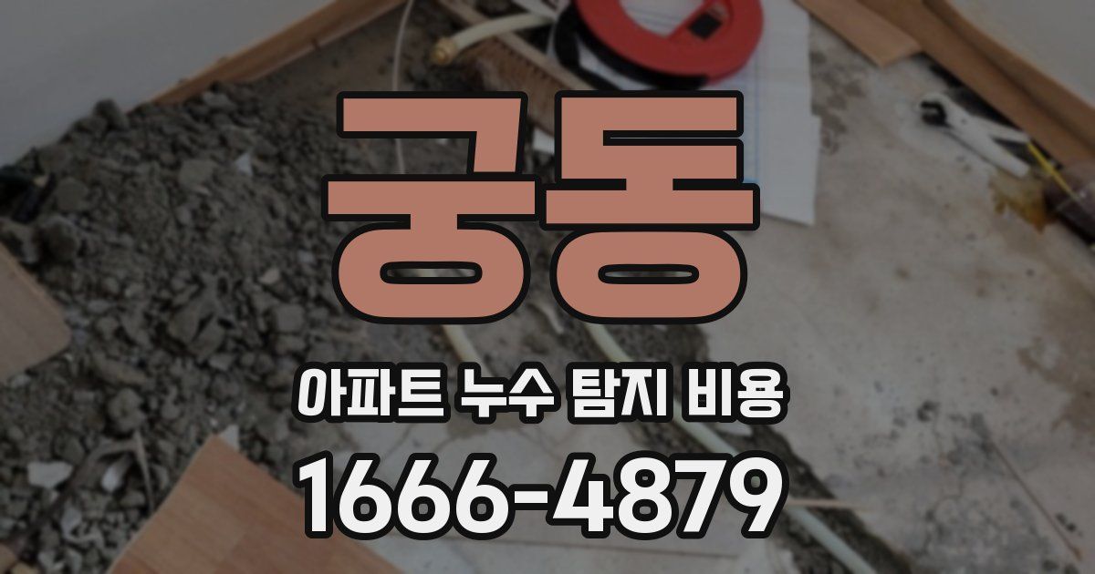 궁동 아파트 누수 탐지 비용