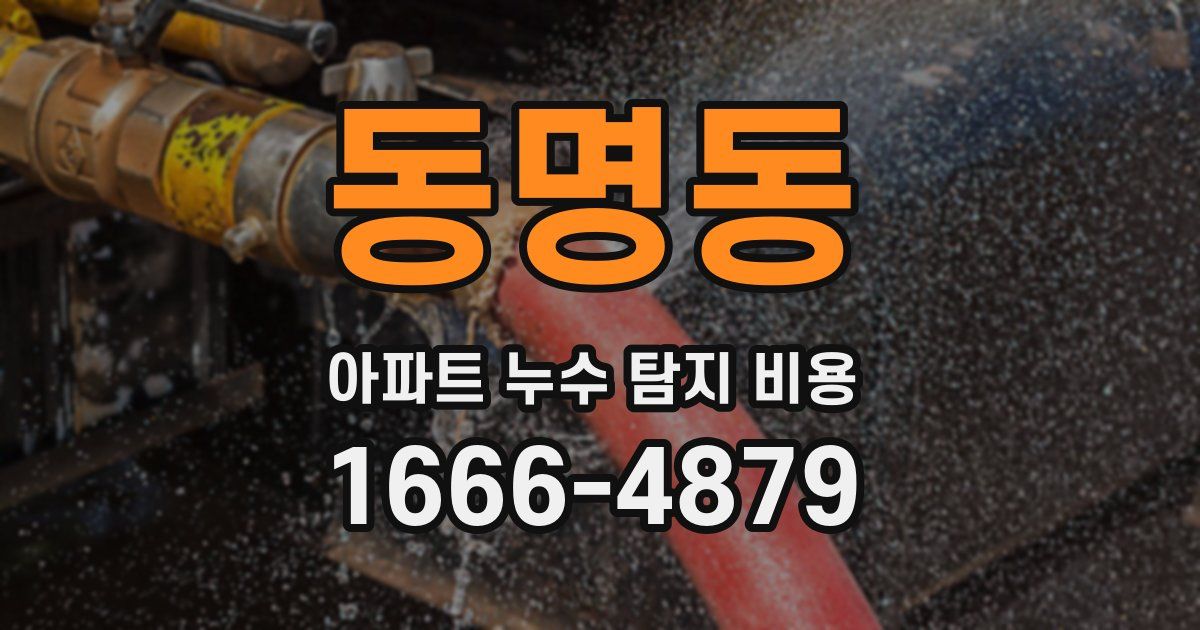 동명동 아파트 누수 탐지 비용