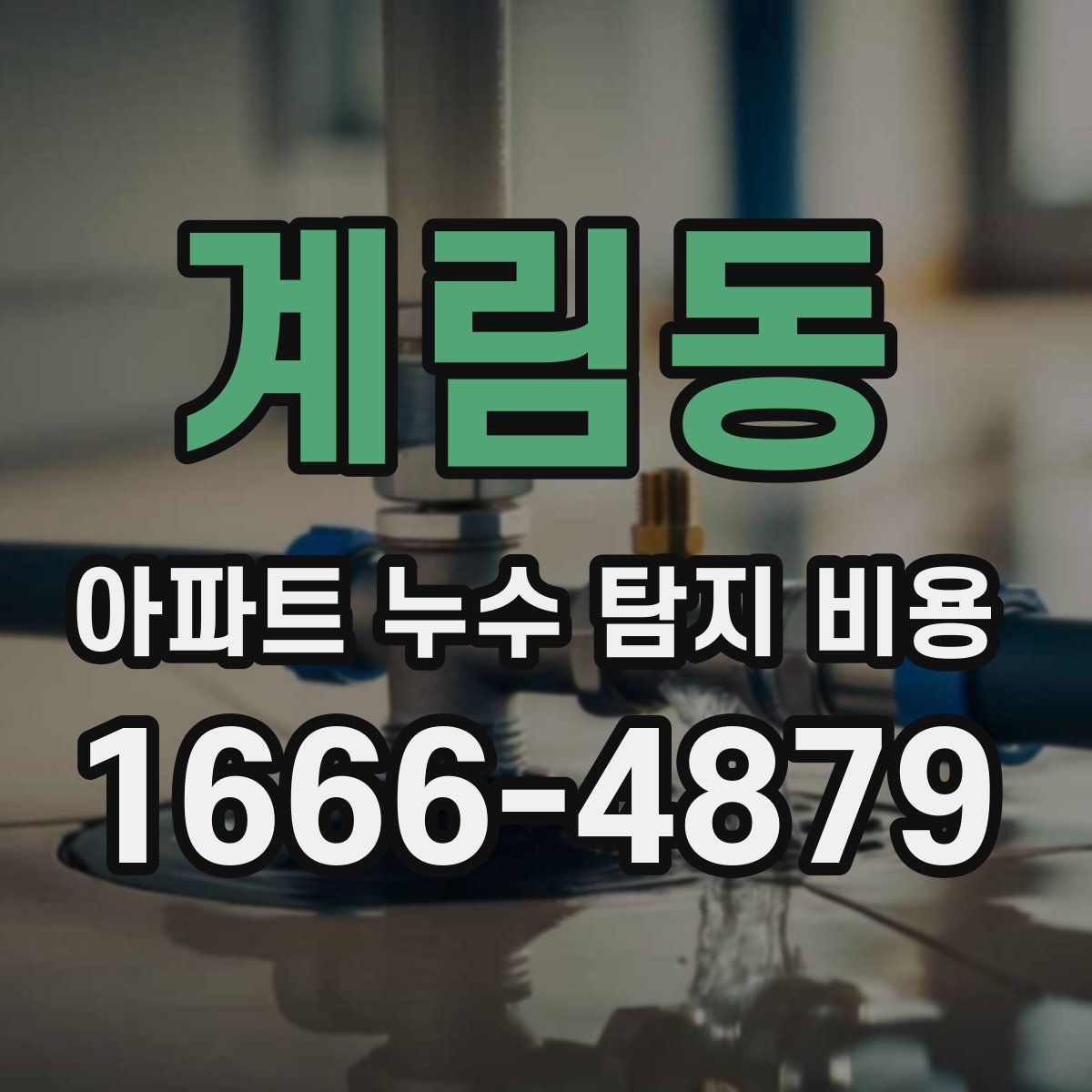 계림동 아파트 누수 탐지 비용