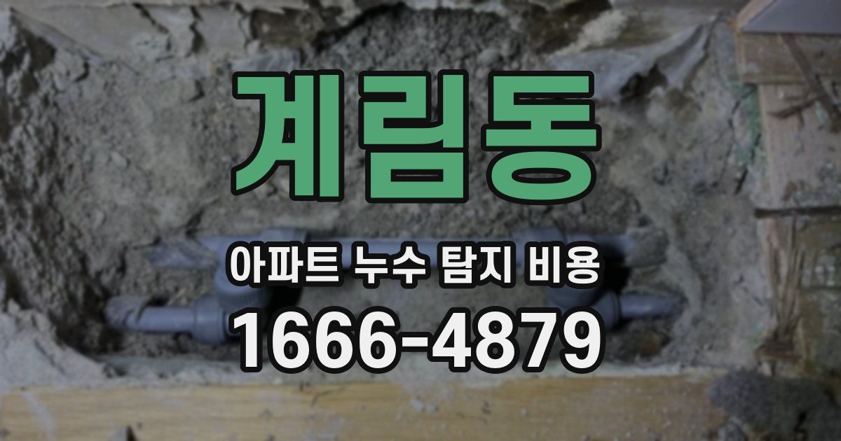 계림동 아파트 누수 탐지 비용