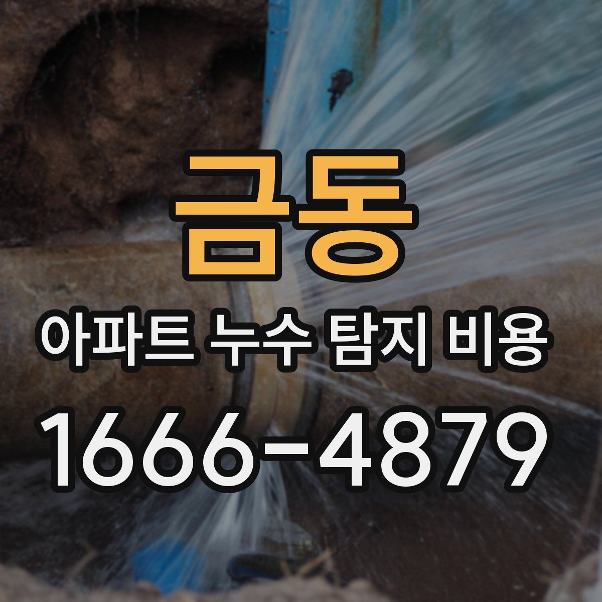 금동 아파트 누수 탐지 비용